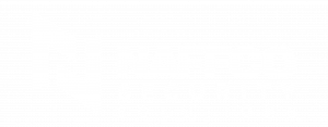 Naffco Security Logo-03